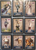 Legend of Zelda Twilight Princess Trading Cards Factory Complete Set